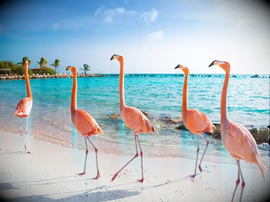 Best Honeymoon Destinations: Aruba