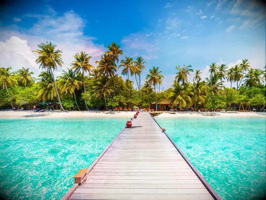 Best honeymoon destination - Maldives beach