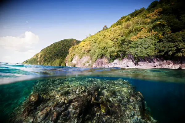 dominica island beautiful water and sea photo