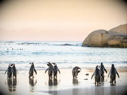 cape town south africa