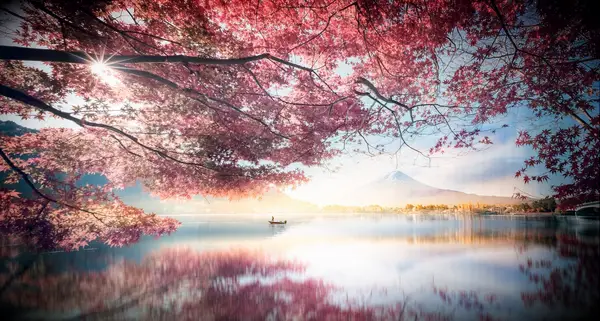 Best honeymoon destination - Japan in sakura season