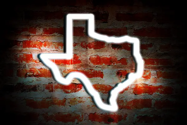 texas state neon sign in bar dallas bachelor party