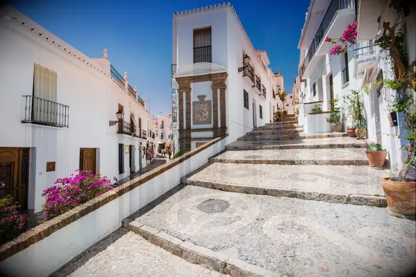 Charming historic cobblestone street with tall white buildings and bright purple flowers. 