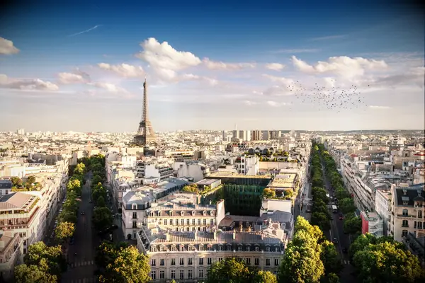 paris summer birds flock past the eiffel tower as tree lined streets are in bloom for a honeymoon