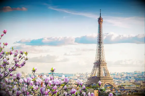 paris france eiffel tower flowers photo