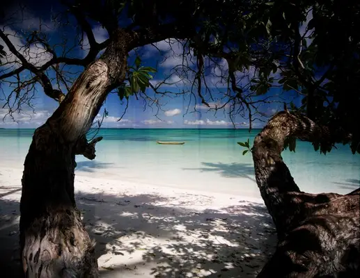 cozumel wedding destination