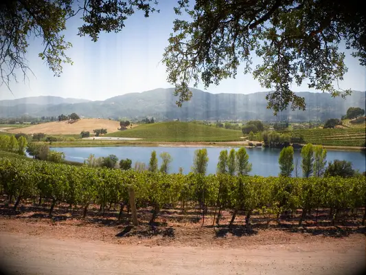 US wedding destination Napa Valley and Sonoma Valley, California 