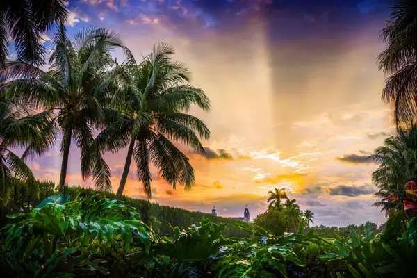 palm beach sunset photo destination wedding