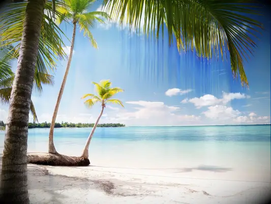 Caribbean wedding destination: Antigua