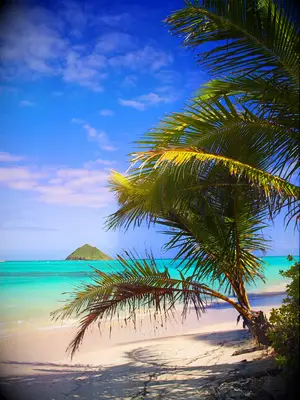 Caribbean wedding destination: Bermuda 