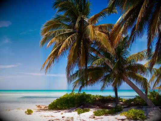 Caribbean wedding destination: Cayman Islands 