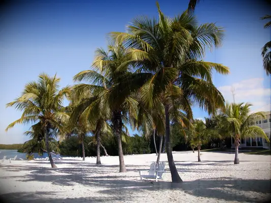 US wedding destination Florida Keys 