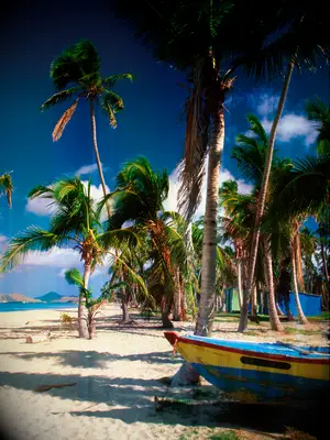 Caribbean wedding destination: Nevis 