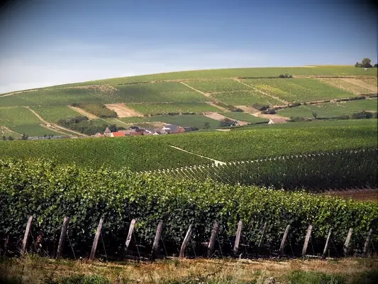 Europe wedding destination: Loire Valley, France 