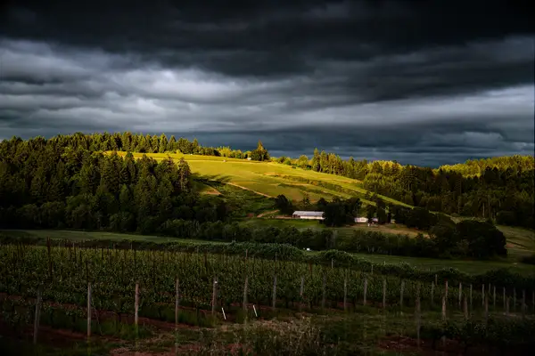 WINE COUNTRY LANDSCAPES