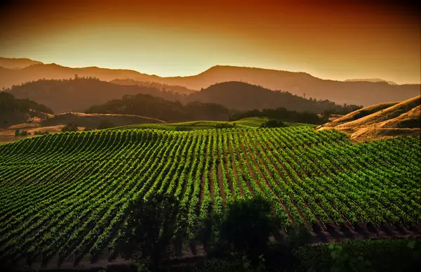 Napa Valley, California, 30th birthday trip idea