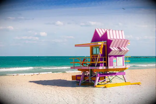 La guía completa del Festival Bachelor de Miami