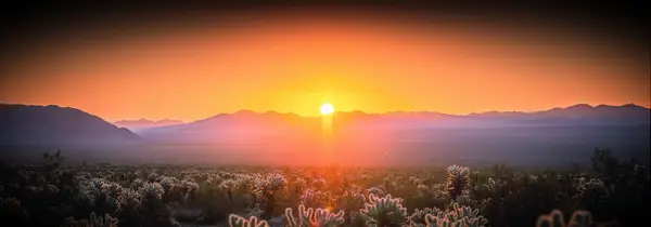 140 Brilliant Sunset Légendes et citations pour Instagram