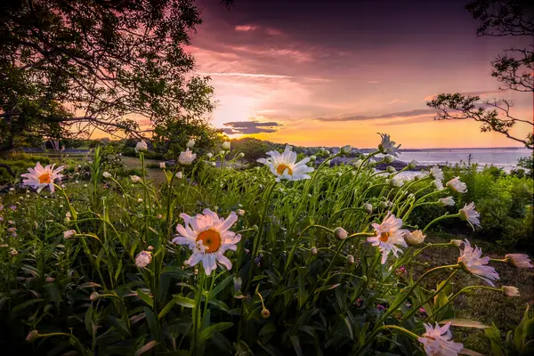 La guía completa de un festival Bachelor de Portland, Maine