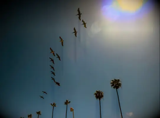 Un guide de la ville de fête de Bachelorette San Diego pour planifier votre week-end