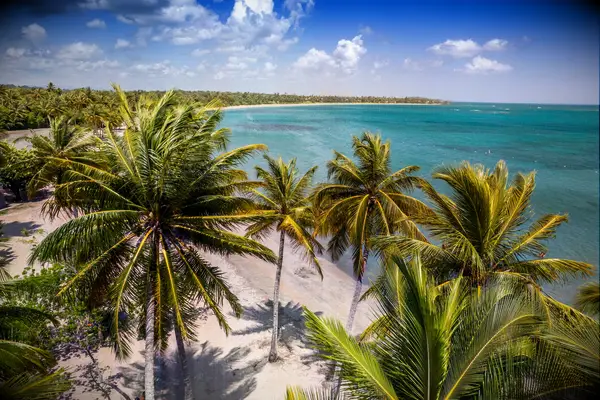 Dorado Beach in sunny Puerto Rico