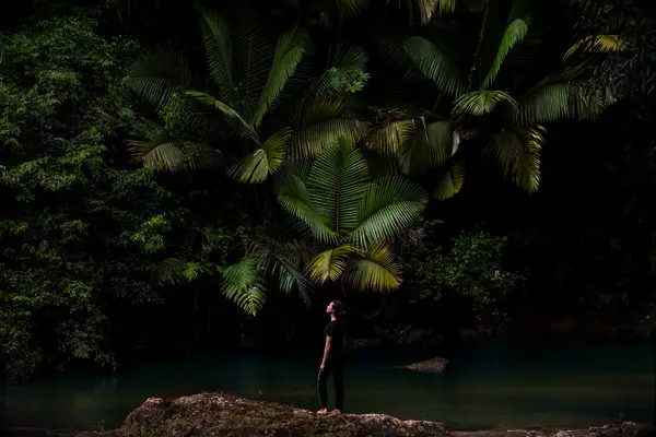 El Yunque National Forest in Puerto Rico